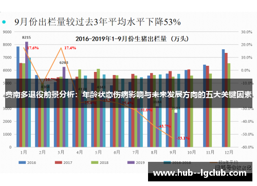 费南多退役前景分析：年龄状态伤病影响与未来发展方向的五大关键因素